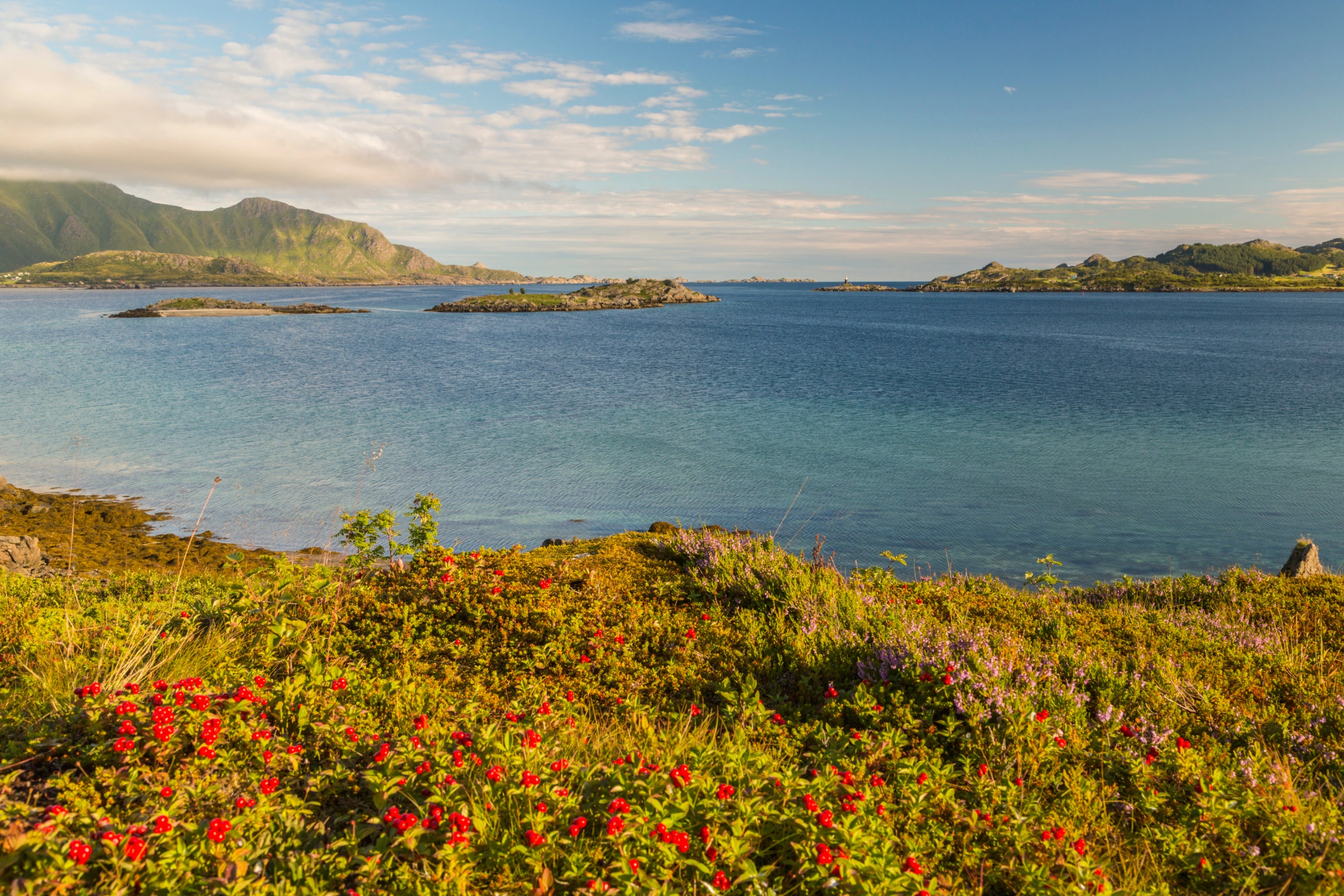 Gravdal[1].webp